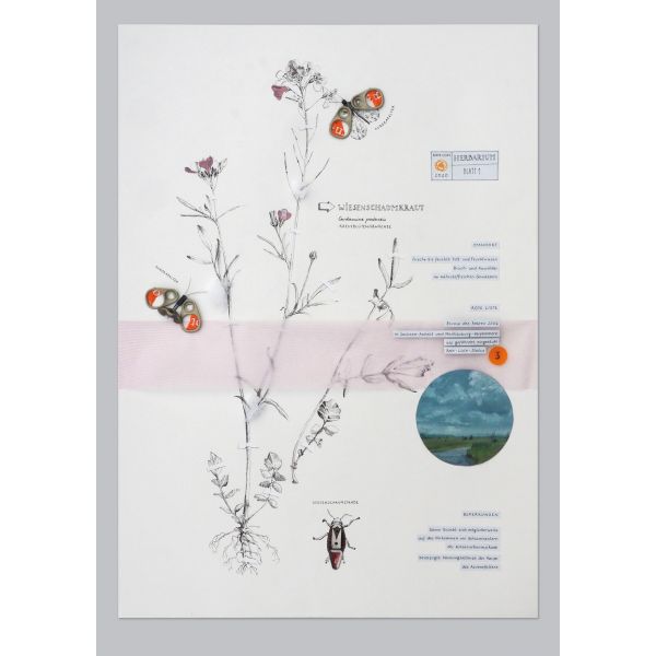 Tine Herbarium01