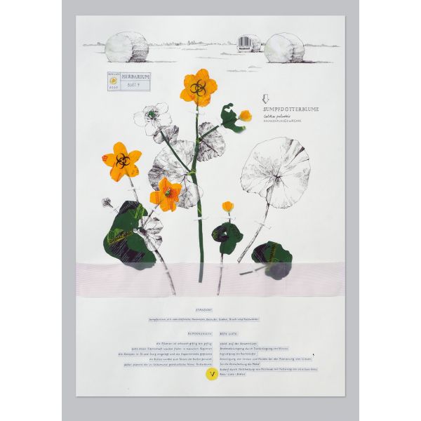 Tine Herbarium09